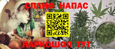 jwh Моздок