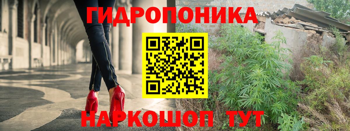 Бошки Шишки сатива Прохладный